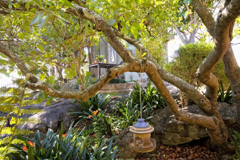Loerie'S Call Guesthouse نيلسبروت المظهر الخارجي الصورة