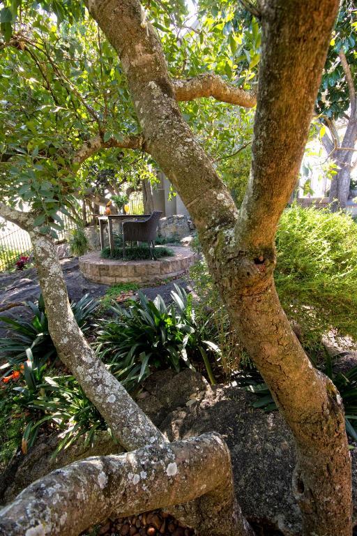 Loerie'S Call Guesthouse نيلسبروت المظهر الخارجي الصورة